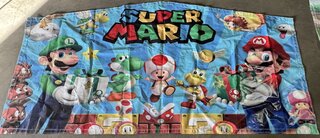 super mario 1 panel