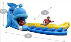 Wally Whale Giant Water Slide