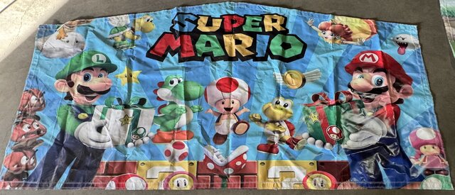 super mario 1 panel