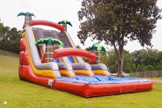 Tropical Paradise 20ft Double Lane Wet/Dry Water Slide
