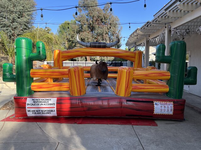 Mechanical Bull Cactus
