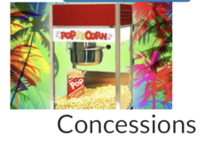 Concessions Items
