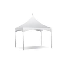 10X10 PEAKED FRAMED CANOPY					