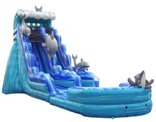 19 FT Dolphin Wet/Dry Water Slide