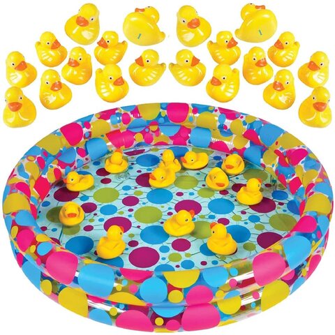 Duck Pond Matching Game 