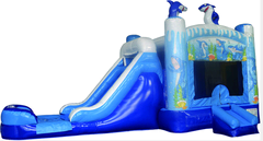Shark bouncer with waterslide 