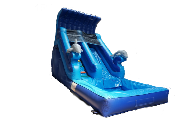 Dolphin Water Slide