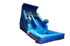 Dolphin Water Slide