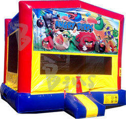 (C) Angry Birds Bounce House