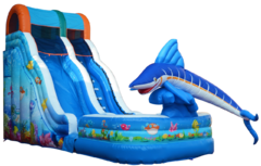 18ft Aquatic Playland Wet-Dry Slide