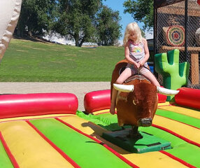 Mechanical Bull with Inflatable BedSize 13 L x 13 W x 13 H