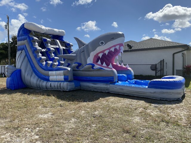 Shark double lane slide 