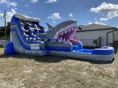 Shark double lane slide 