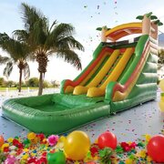 18ft Dual lane palm tree slide #1