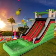 18ft Dual lane palm tree slide #3