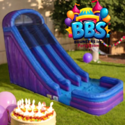 22 ft Double lane purple slide w pad DRY only