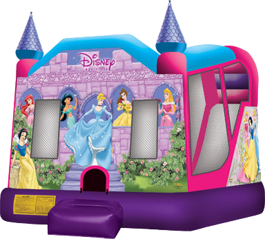 Disney Princess Bounce House / Dry Slide Combo