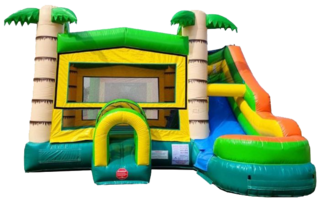 Tropical Bounce House / Dry Slide Combo