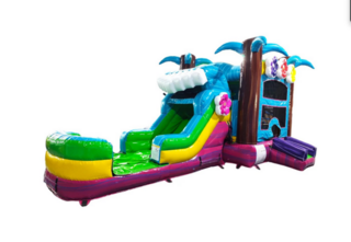 Summer Luau Slide Bounce House Combo