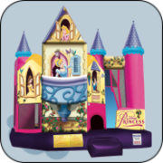 3-D Disney Princess Backyard Combo - DrySpecial Price: starting at $220!Orig. Price: $255