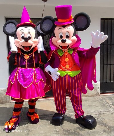 Mickey or Minnie 