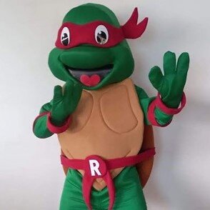 Ninja Turtle