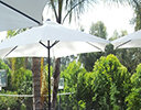 Umbrellas, Heaters, Hedgewalls