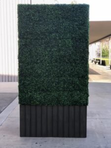 Hedge Wall 4 x 8