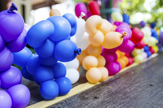 Balloon Twister Artist - Per Hour