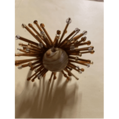 Napkin Ring Shell with Brown Spikes
