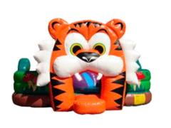 Toddler Inflatable Rentals