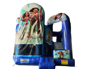 Beach Party Bounce House with slide inside
