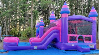 PURPLE DUEL LANE WATER SLIDE COMBOBest for ages 3+