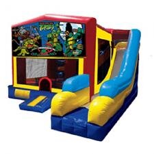 Ninja Turtles Jump & Slide