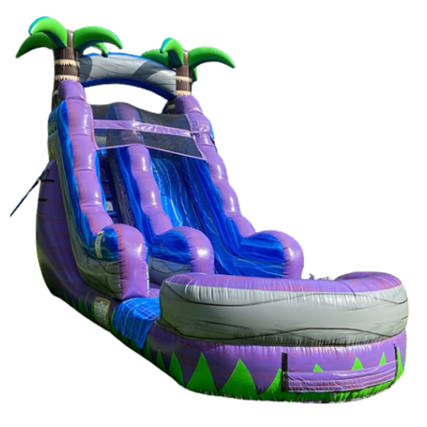 Purple Plunge Water Slide