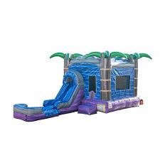 Purple Crush Jump & Slide