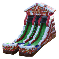 Gingerbread Slide