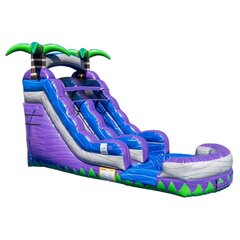 Purple Plunge Water Slide