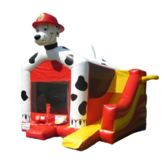 Dalmatian Jump & Slide