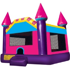 Purple Castle Moonbounce