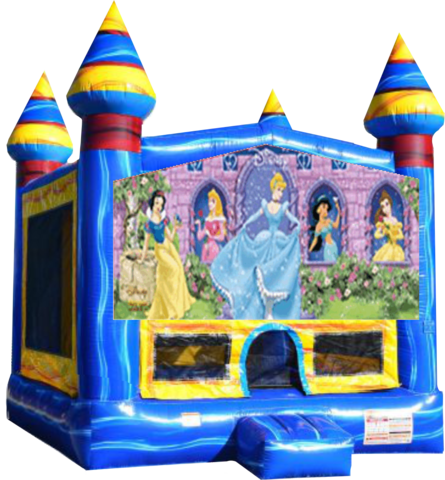 Disney Princess Arctic 13x13 Fun House