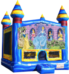 Disney Princess Arctic 13x13 Fun House