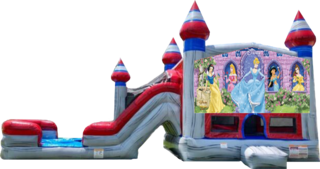 Disney Princess Titanium Dual Lane Dry Combo 13x31