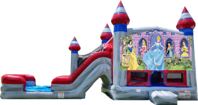 Disney Princess Titanium Dual Lane Dry Combo 13x31