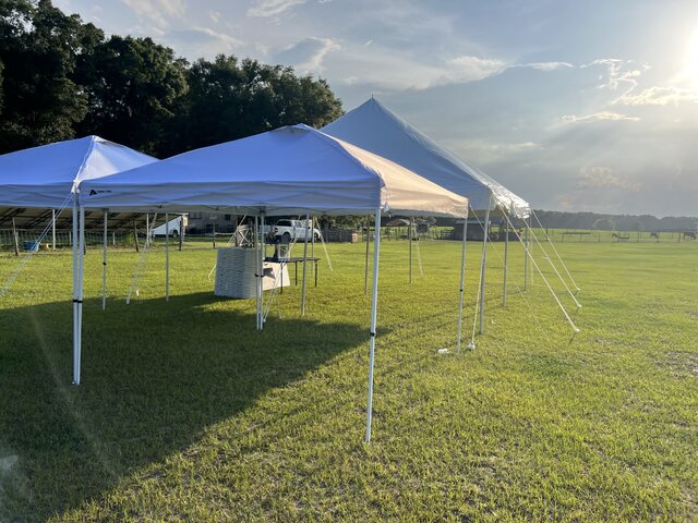 Pop up tent 10x10