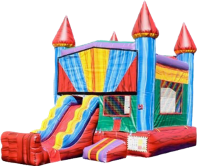 Fun Size Bounce House/Slide Combo (Wet or Dry)