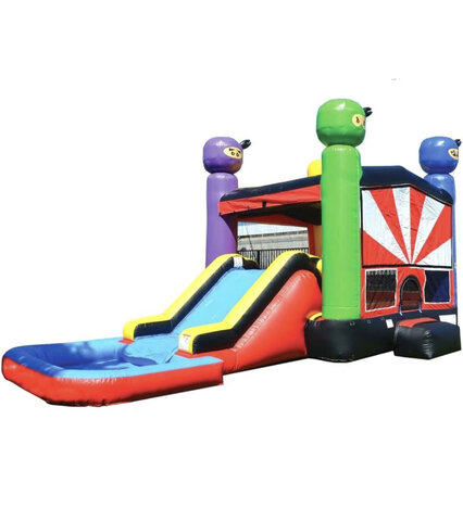 Ninja Bounce House and Slide 