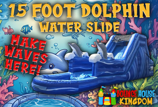 15 ft mini dolphin water slide