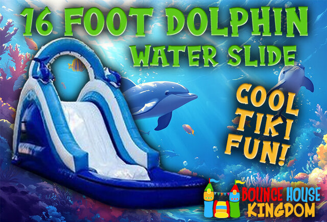 16 ft dolphin water slide