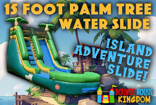 15ft palm tree slide